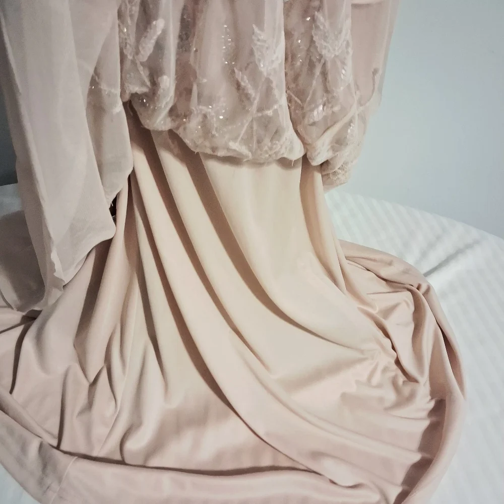 Blush Pink Beaded Illusion Evening Gown Size 14W - Picture 11 of 16